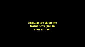 Slow motion female masturbation orgasm